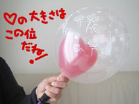 説明文の写真