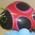 �t�B�����@�o���[��