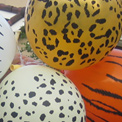 �S�����D