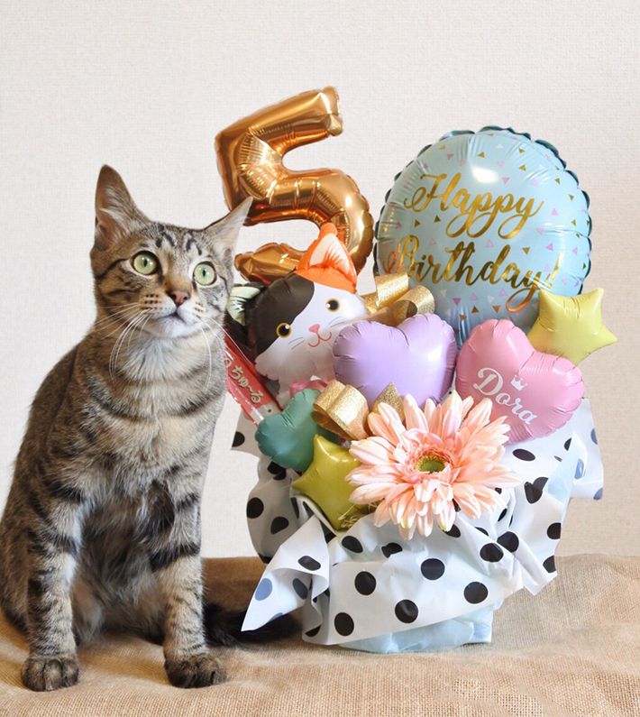 猫の誕生日