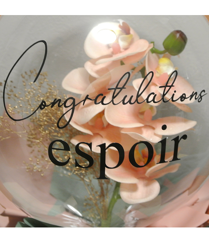 �y�J�@�E�J���E���N�j���z�@�Ӓ����̃t�����[�o���[��