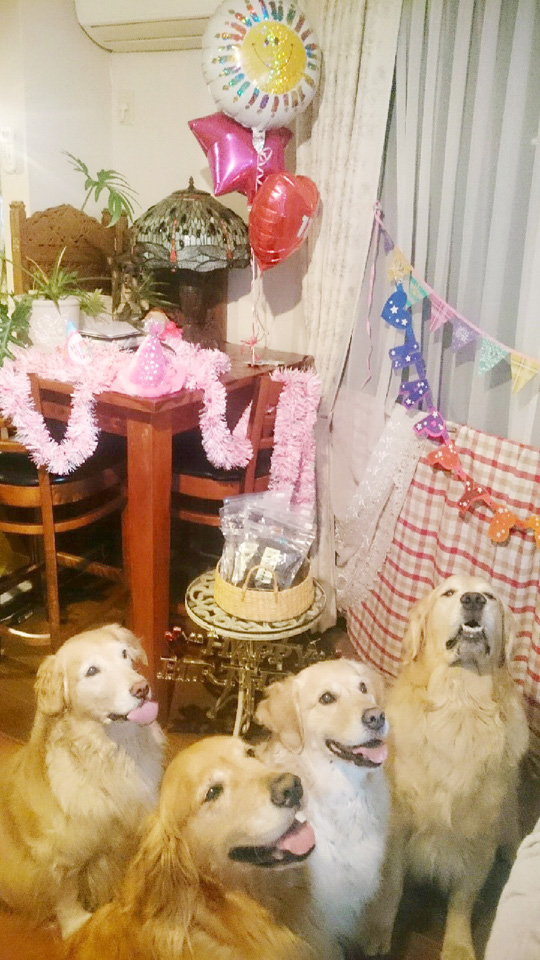 愛犬ペットの誕生日