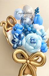 y20΁AljzO@o[@[Ỷԑo[@u[iԑ^Cvjy݁z